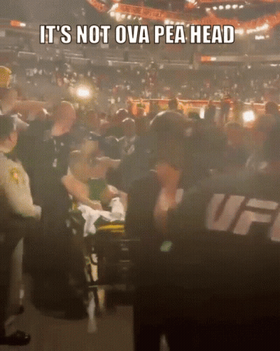 Man In Wheelchair Surrounded By Crowd In UFC Arena GIF