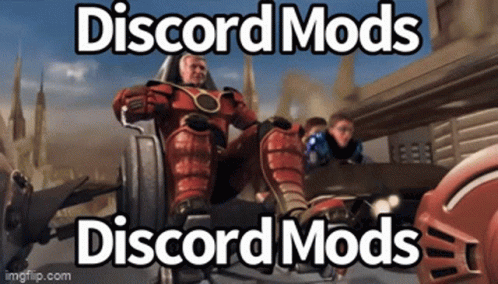 Man In Wheelchair With Discord Mods GIF
