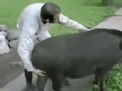 Man In White Coat Petting Black Animal GIF