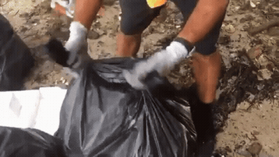 Man In White Gloves Holding Black Garbage Bag GIF