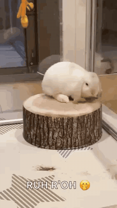 Man In White Hat And White Tank Top GIF