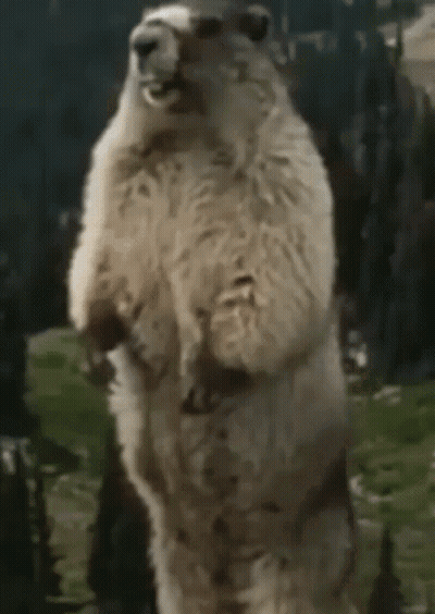 Man In White Postbank Shirt GIF