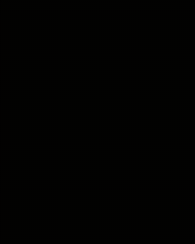 Man In White Robe With Falcon On Shoulder GIF