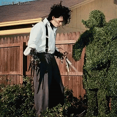 Man In White Shirt And Suspenders Near Topiary GIF