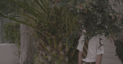 Man In White Shirt And Tie By Palm Tree GIF