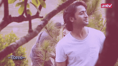 Man In White Shirt By Tree With Antv GIF