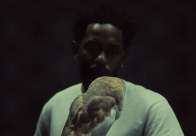 Man In White Shirt Holding Owl GIF