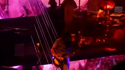 Man In White Shirt Playing Guitar GIF