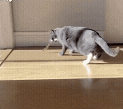 Man In White Suit Dancing In Hallway With GF Sign GIF