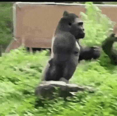 Man In White Tank Top Helped With I'm Cool Man GIF