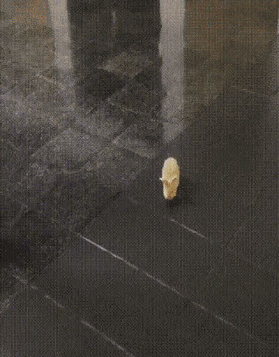 Man In White Tank Top Saying Ah Shit Here We Go Again GIF