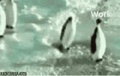 Man In Wig And Sunglasses With Headphones GIF