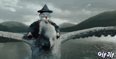 Man in Wizard Hat Riding Owl