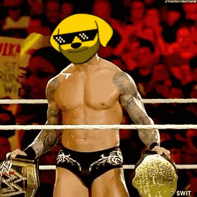 Man In Wrestling Ring With Dog Mask GIF