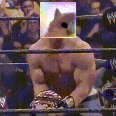 Man In Wrestling Ring With Dog On Head GIF