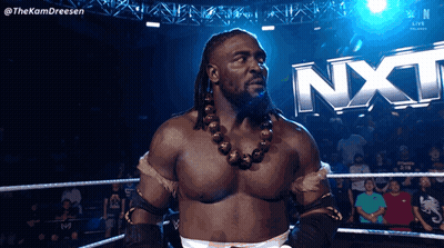 Man In Wrestling Ring With NXT GIF