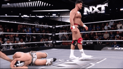 Man In Wrestling Ring With NXT GIF