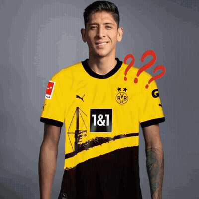 Man In Yellow And Black BVB Jersey GIF