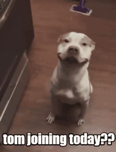 Man In Yellow Hat And Fur Coat GIF
