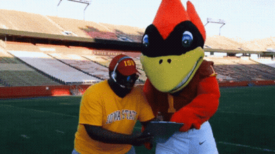 Man In Yellow Iowa State Shirt GIF