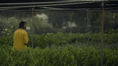 Man In Yellow Jacket In Green Field GIF