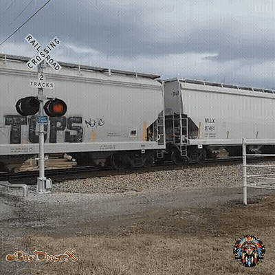 Man In Yellow Michigan Shirt Holding Head In Hands GIF