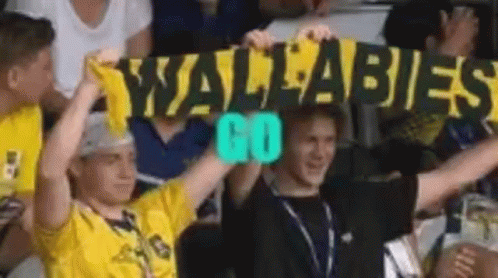 Man In Yellow Shirt Holding Wallabies Go Sign GIF