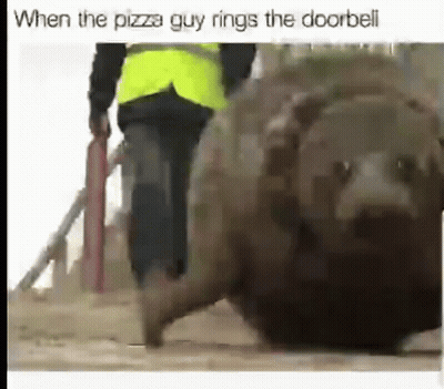 Man In Yellow Vest Walking With Bear Looking GIF
