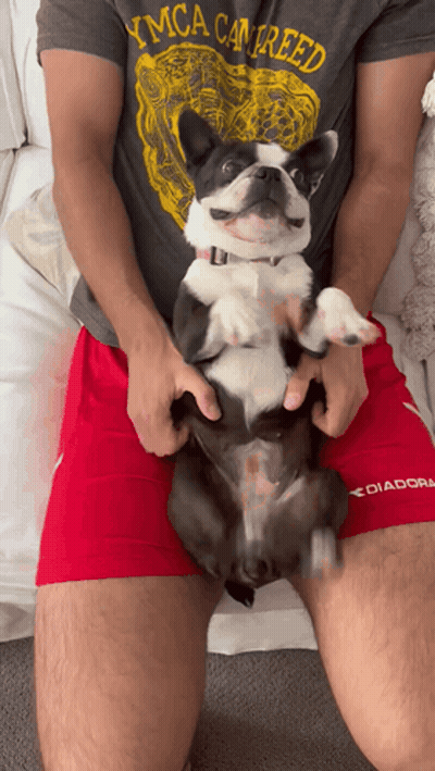 Man In YMCA Can Reed T-Shirt Holding Dog GIF