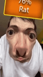 Man Is A 70% Rat Meme GIF