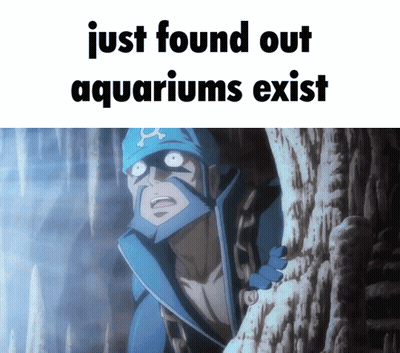 Man Just Found Out Aquariums Exist