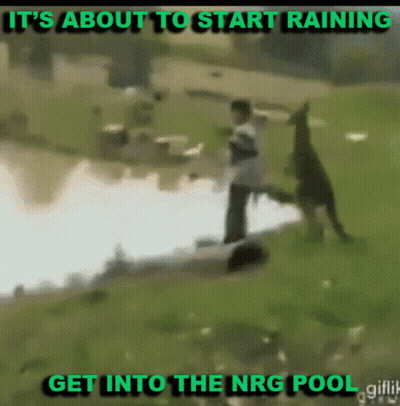Man Kangaroo It's About To Rain NRG Pool GIF