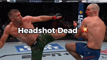Man Kicking Headshot Dead GIF