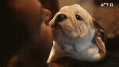 Man Kissing Dog On Nose GIF