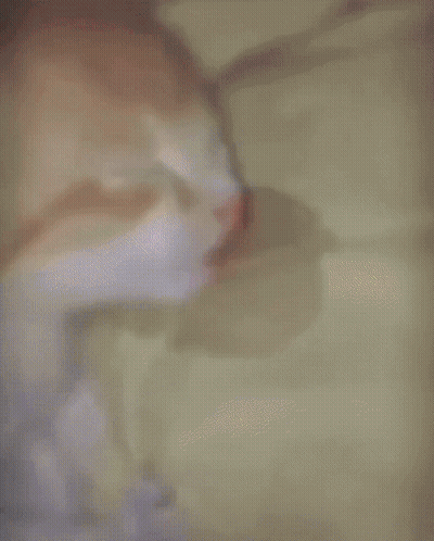 Man Kissing Man In Green City Shirt GIF