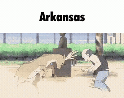Man Kneeling In Front Of Deer With Arkansas GIF