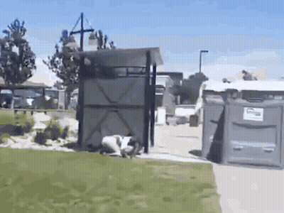 Man Kneeling In Front Of Recycling Trash Can GIF