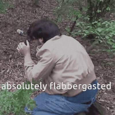 Man Kneeling In Woods Absolutely Flabbergasted GIF