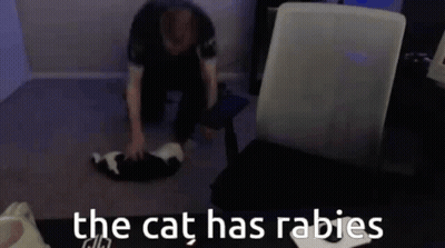 Man Kneeling Next To Cat Says The Cat Has Rabies GIF
