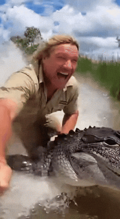 Man Laughing While Holding Alligator In Water GIF
