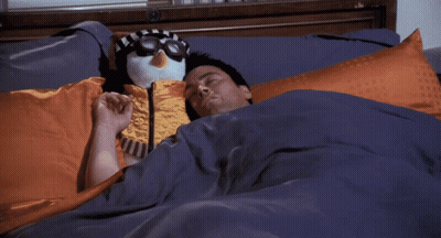 Man Laying In Bed With Stuffed Penguin On Head GIF