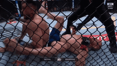 Man Laying In Cage With Brundage GIF