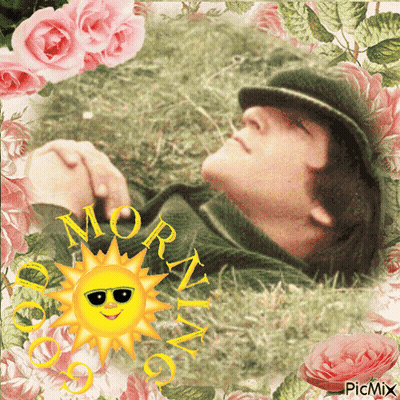 Man Laying In Grass With Sun Saying Morning GIF