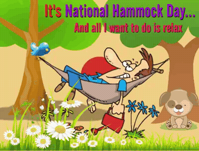 Man Laying In Hammock It's National Hammock Day GIF