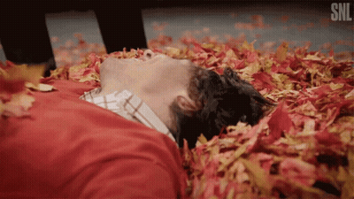 Man Laying In Leaves With SNL Logo GIF