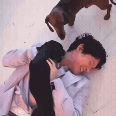 Man Laying On Floor Holding Puppy With Two Dogs GIF