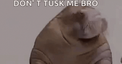 Man Laying On Floor Next To Hippo In Pool GIF