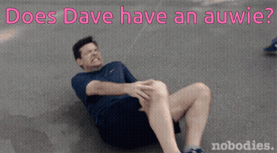 Man Laying On Ground Saying Does Dave Have An Auwie GIF