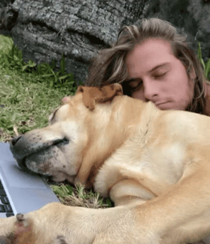 Man Laying On Ground With Dog On His Lap GIF