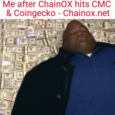 Man Laying On Pile Of Money Me After Chainox Hits CMC & Coingecko - Chainox.net GIF